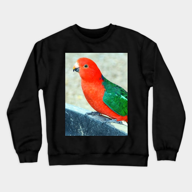 King Parrot Crewneck Sweatshirt by Upbeat Traveler